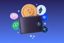 learn guide choosing best and most secure crypto wallets